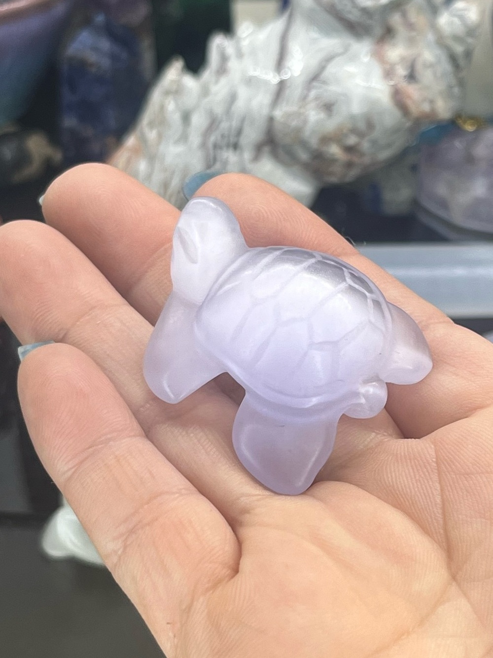 Cat eye Turtle Carving